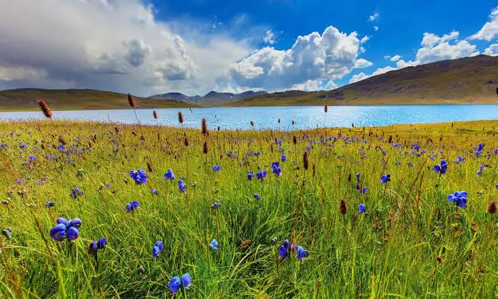 deosai-national-park and-plains