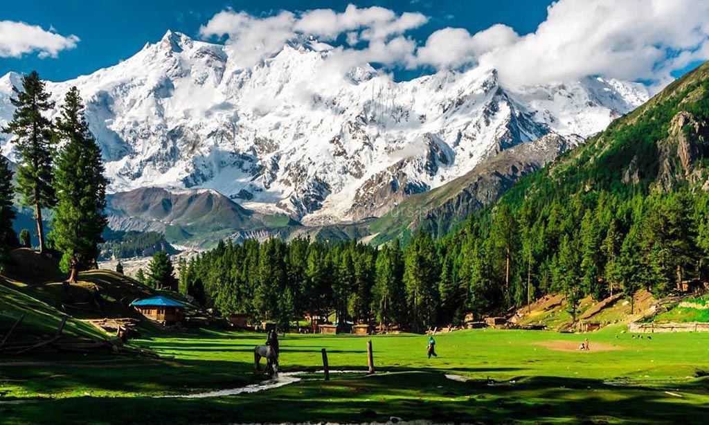 fairy-meadows