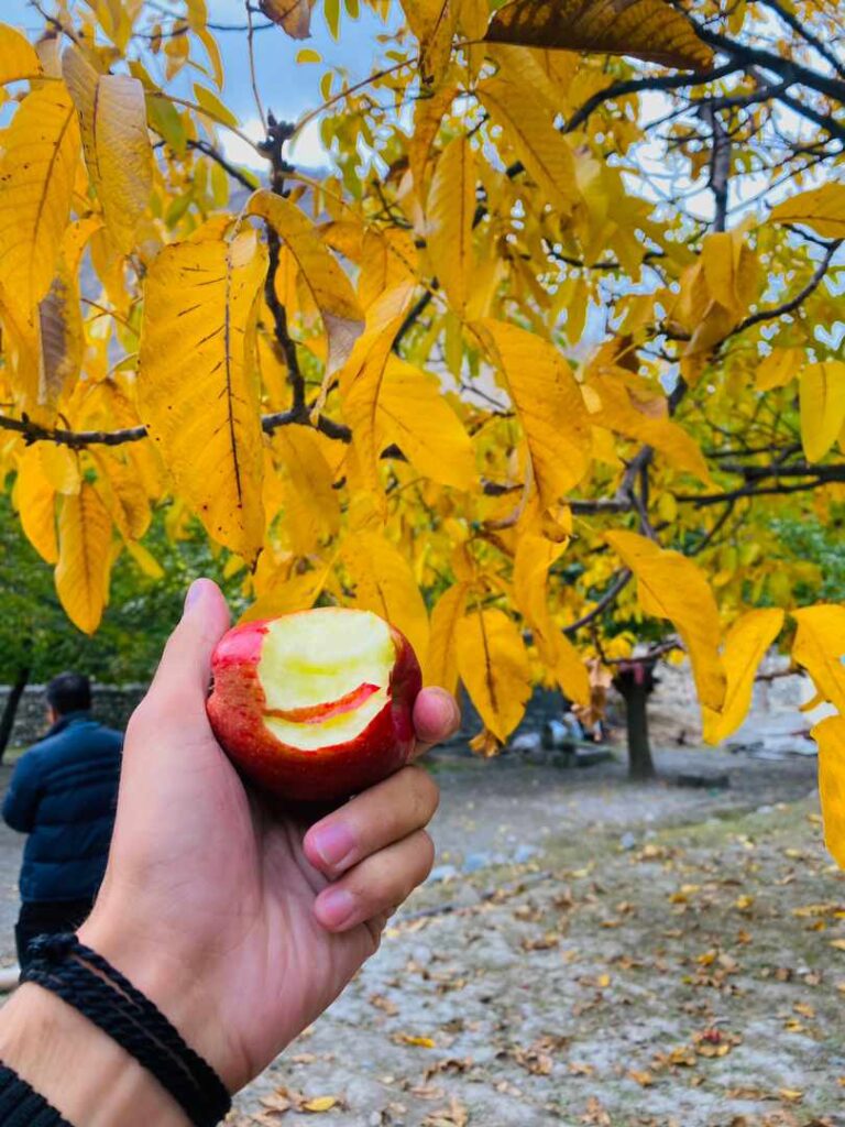 Autumn Hunza Valley