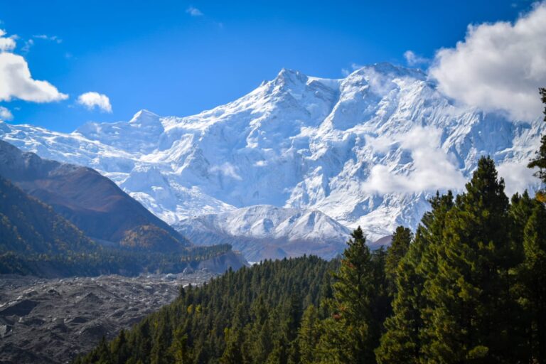 Fairy Meadows