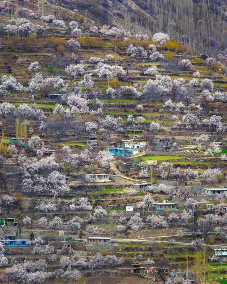 Homes in Hunza