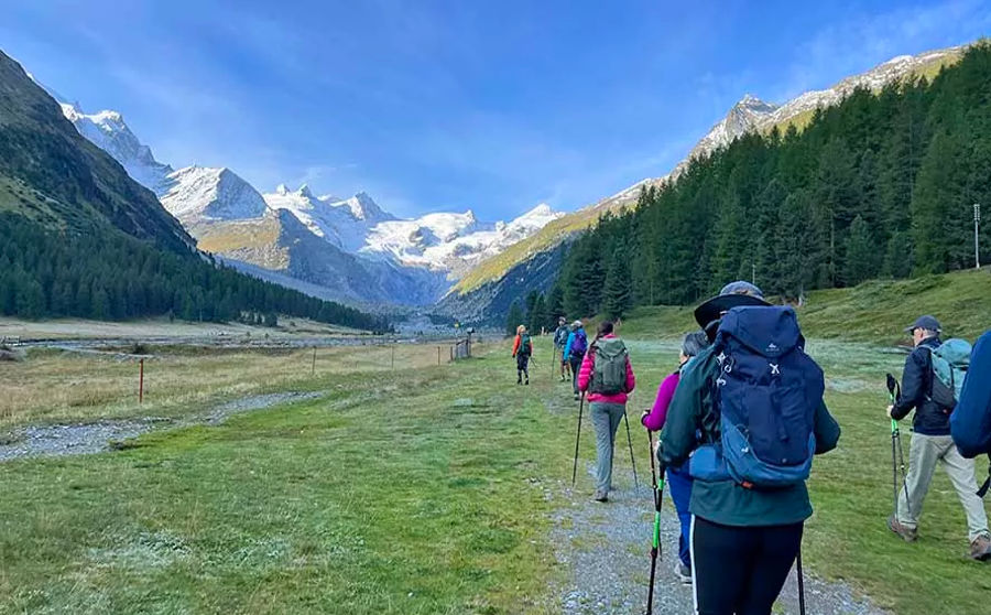 Trekking in the Alps