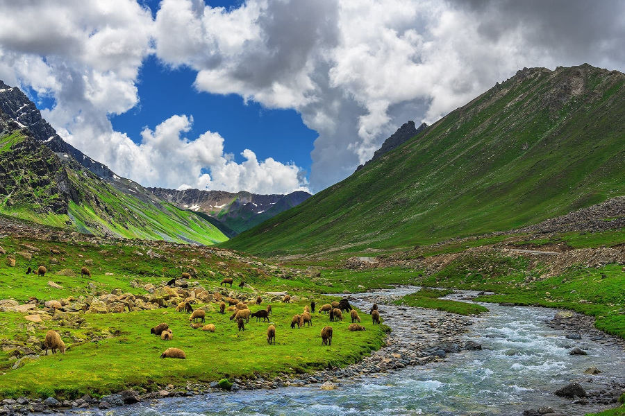 Minimarg